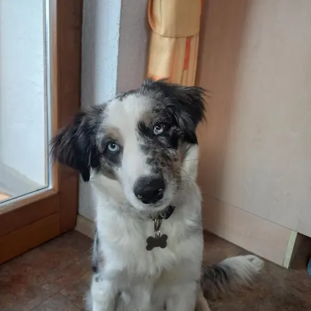 Appartement Dengg Stummerberg