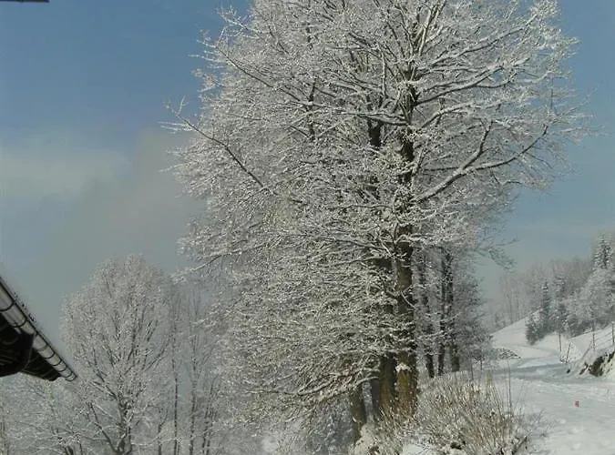 Dengg ستمربرغ