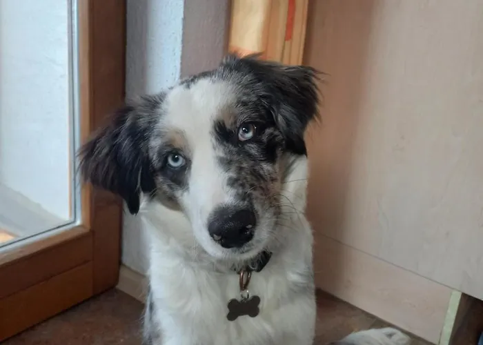 Lejlighed Dengg Stummerberg